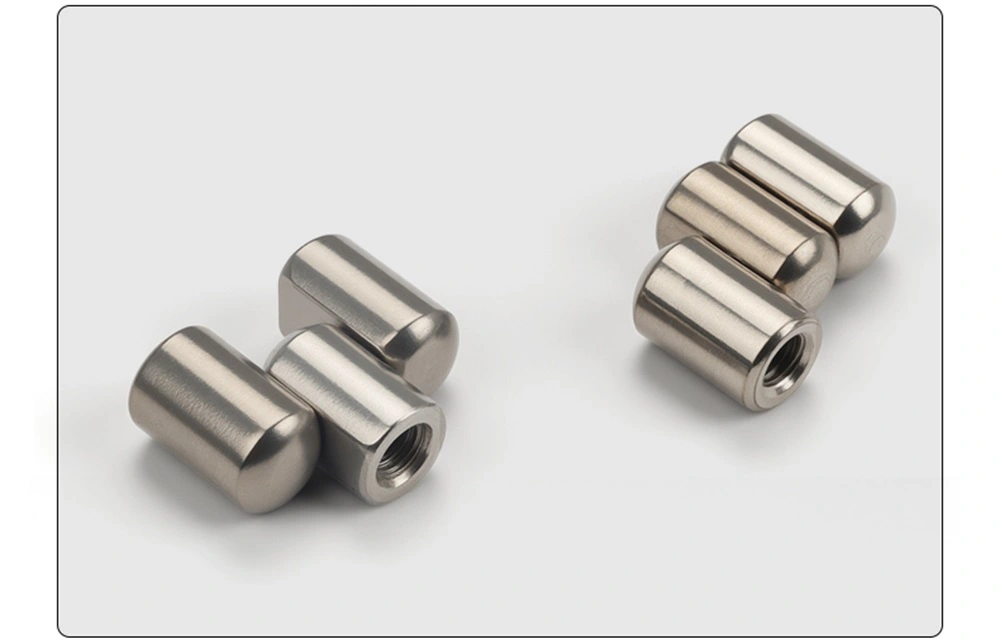 Weld-On Parliament Pivot Hinge