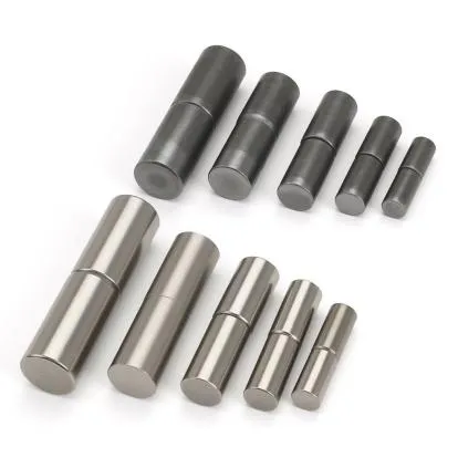 mortise hinge